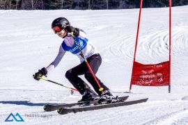 Theresianische Skimeisterschaft 2017