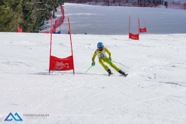 Theresianische Skimeisterschaft 2018