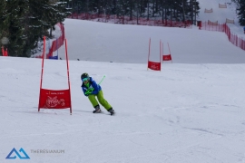 Theresianische Skimeisterschaft 2018