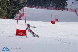Theresianische Skimeisterschaft 2018