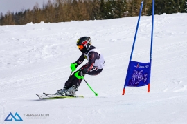 Theresianische Skimeisterschaft 2018