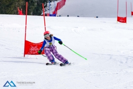 Theresianische Skimeisterschaft 2018