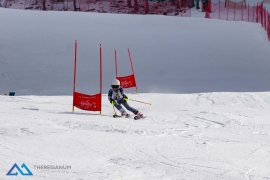 Theresianische Skimeisterschaft 2018