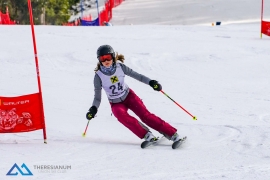 Theresianische Skimeisterschaft 2018