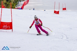 Theresianische Skimeisterschaft 2018