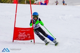 Theresianische Skimeisterschaft 2018