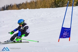 Theresianische Skimeisterschaft 2018