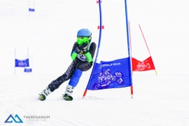 Theresianische Skimeisterschaft 2018