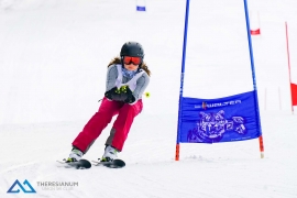 Theresianische Skimeisterschaft 2018