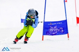 Theresianische Skimeisterschaft 2018