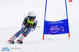 Theresianische Skimeisterschaft 2018