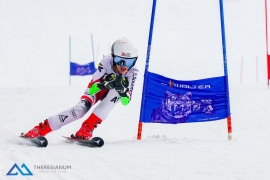 Theresianische Skimeisterschaft 2018