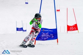 Theresianische Skimeisterschaft 2018