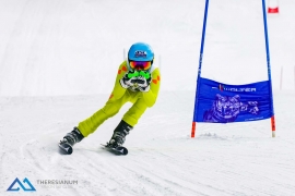 Theresianische Skimeisterschaft 2018