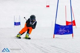Theresianische Skimeisterschaft 2018