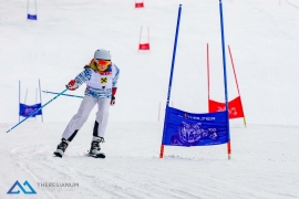 Theresianische Skimeisterschaft 2018