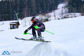 Theresianische Skimeisterschaft 2018