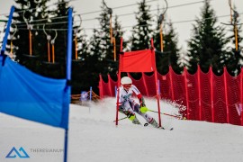 Theresianum Schulmeisterschaft 2019 Theresianum Schulmeisterschaft 2019