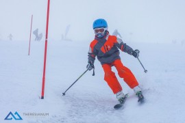 DSC00648