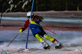 SL Training Semmering 20.1.21